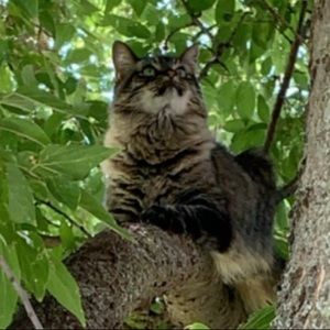 Meet your Posher, Tammy